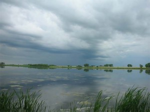 J. Clark Salyer NWR  