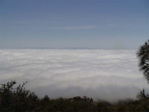 View from the summit of Mt. Diablo   